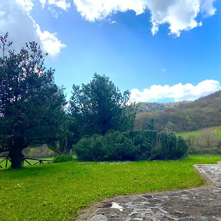 Montecalvo