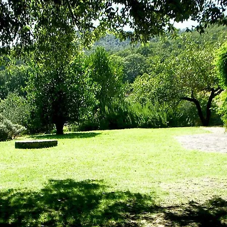Montecalvo